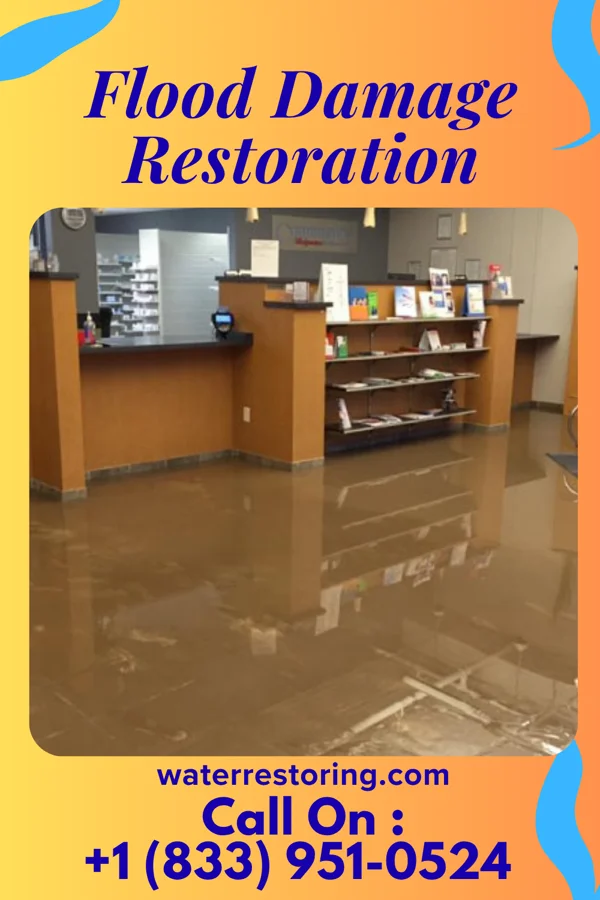 Flood Damage Restoration in Dunnellon, FL