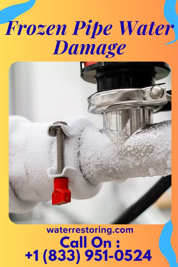 Frozen Pipe Water Damage in Dunnellon, FL